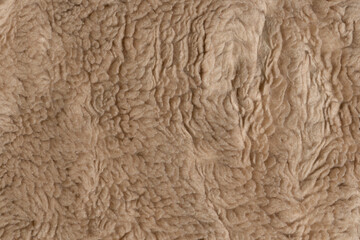 Beige wool texture background. plush. mohair. fur