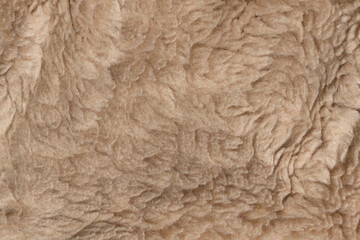 Beige wool texture background. plush. mohair. fur