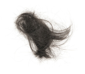 Naklejka premium Hair bundle isolated on white background. tuft human hair close-up. haircut