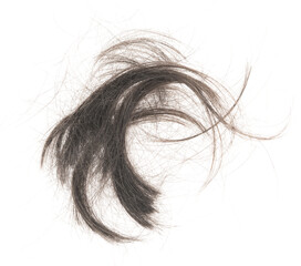 Hair bundle isolated on white background. tuft human hair close-up. haircut
