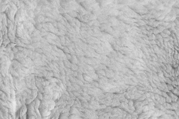 White wool texture background. plush. mohair. gray fur