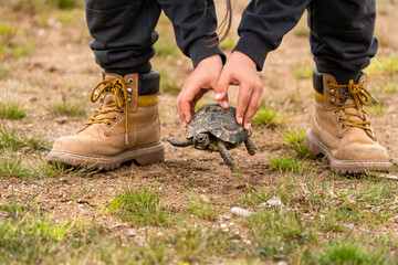 The boy who released the turtle he found on the road to the nature