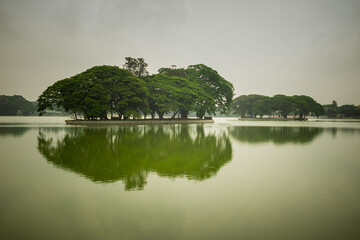 Lake reflection, Greenery at Ulsoor Lake, Bangalore, India