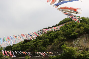 flags