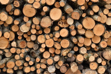 A cord of wood in a field , Sainte-Apolline, Québec, Canada