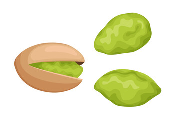 Vector pistachio isolated on white background