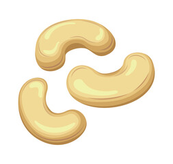 Vector cashew isolated on white background