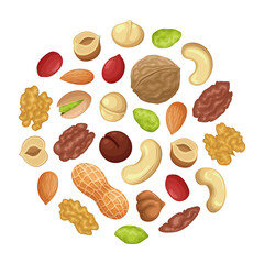 Set of vector nuts isolated on white background