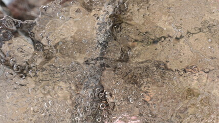 A thin ice piece forming some shapes and reflections is pictured closeup