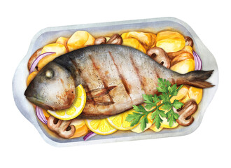 Baked sea bream with potatoes, mushrooms, lemon and onion. Watercolor illustration