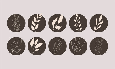 Abstract story highlight cover. Hand leaf set boho contemporary style. Vector round social media stories for bloggers. Aesthetic leaves with earth tone color.