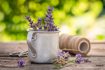 Fresh and violet lavender freshly harvested from garden.