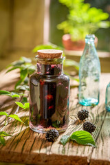 Blackberry tincture made of alcohol and fruits