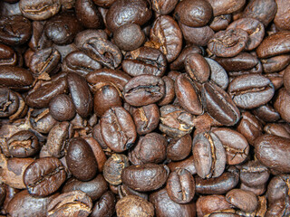 Coffee beans  medium roasted