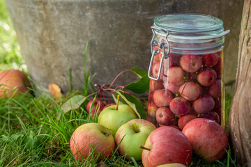 Homemade and fresh canned apples in jar in summer.