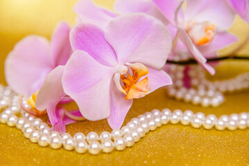 Fototapeta na wymiar purple Orchid and pearl necklace on a shiny gold background 