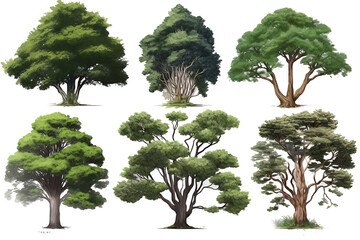 collection of trees on transparant background, for illustration, digital composition, and architecture visualization