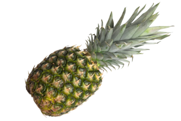 pineapple isolated on white or transparent background, cut out