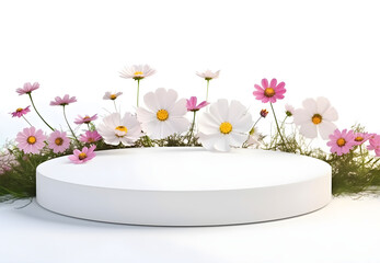 White Podium With Blossom Cosmos Flowers on White Background: AI Generated Image