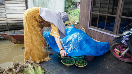 Banjar women at the house by the river are arranging fruits into baskets