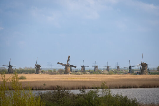 iconic windmills in Kinderdijk Netherlands next to canal waterway flood management. Landmark buildings originally made to pump water out of low land polder to preserve land reclaimed from the sea