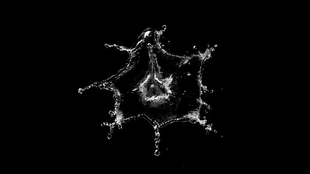 Water splash isolated on black background