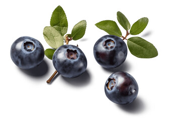 blueberries isolated on transparent background