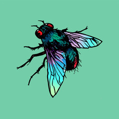 Colored vector  inked style house fly wall art