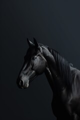 Portrait of a dark horse on a black background. generative ai