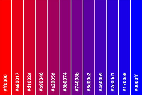 Abstract Colored Palette Guide. Table color shades. Color harmony. Trend colors. Vector illustration EPS 10 File.