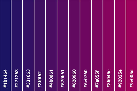 Abstract Colored Palette Guide. Table color shades. Color harmony. Trend colors. Vector illustration EPS 10 File.