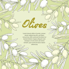 Olive oil banner design template. Sketch style olive branches and extra virgin vector label with olive tree on light background. Vector illustration.