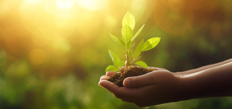 Hands holding small plant growing from soil on nature green bokeh background. Earth day concept. Concept of plant growth and environmental protection. Copy space Generative AI.