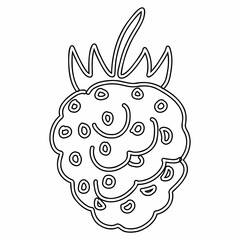 Raspberry line drawing for decoration.