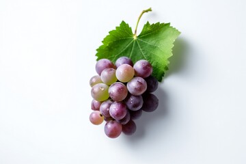 Fototapeta premium AI Generative. 