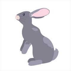 An attractive grey rabbit highlighted on a white background. Designer rabbit graphics for printing on invitations, holiday posters. Easter bunny. Vector.