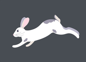 Vector graphics of a white rabbit. The furry animal jumps, runs. Easter bunny on a gray background.