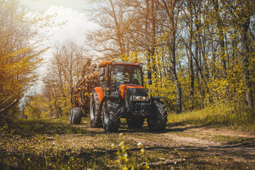 Forwarder tractor for wood transport. Tractor with trailer loaded with logs. Forestry tractor or forestry tractor for harvesting wood in the forest. Spring forest.