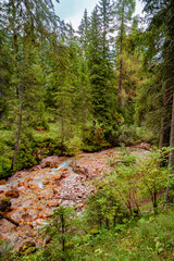 Cover page with forest and water stream in Dolomites at the national park Three Peaks, Tre Cime, Drei Zinnen, South Tyrol, Italy.