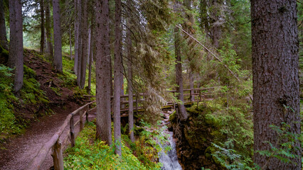 Forest and water stream with a wooden bridge in Dolomites at hiking trail in South Tyrol, Italy.