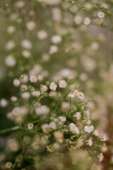 Beautiful Wedding Decor and Flowers from real weddings.