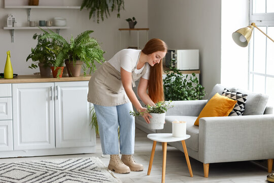 Young woman taking green houseplant from table in kitchen