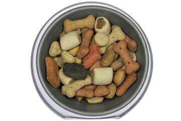 dog food in feeding bowl isolated on white background