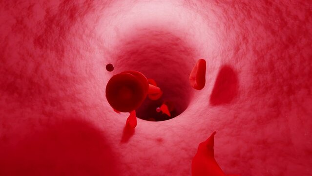 Vein tunnel. Sickle cells circulate in vein. Erythrocytes and platelets. Camera move through the vein. Blood cells moving through a vein.
h264, 4:4:4 predictive L5.1, yuv444p, 3840x2160, loop able