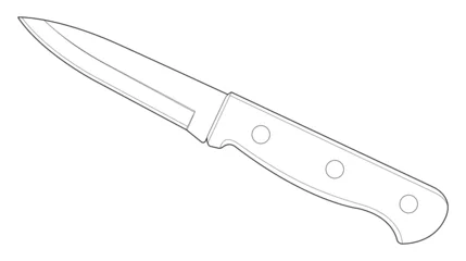 Fotobehang Coloring page. Kitchen knife with wooden handle. paring knife. Isolated on white   © Okliii