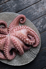 A close up of an octopus on a metal tray