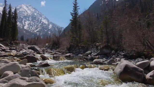 Mountain river flowing over stones, snow-capped mountains on the horizon