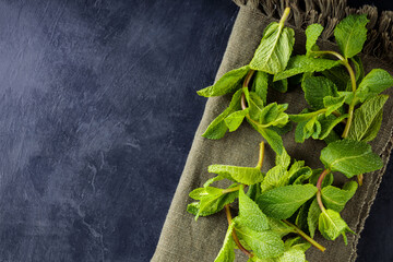 Fresh green mint on a linen napkin. Mint leaves on a dark background. Top view