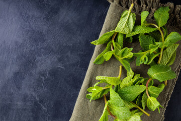 Fresh green mint on a linen napkin. Mint leaves on a dark background. Top view © Lazarenko O.