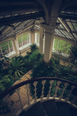 Fototapeta premium Trees in a giant glass house
